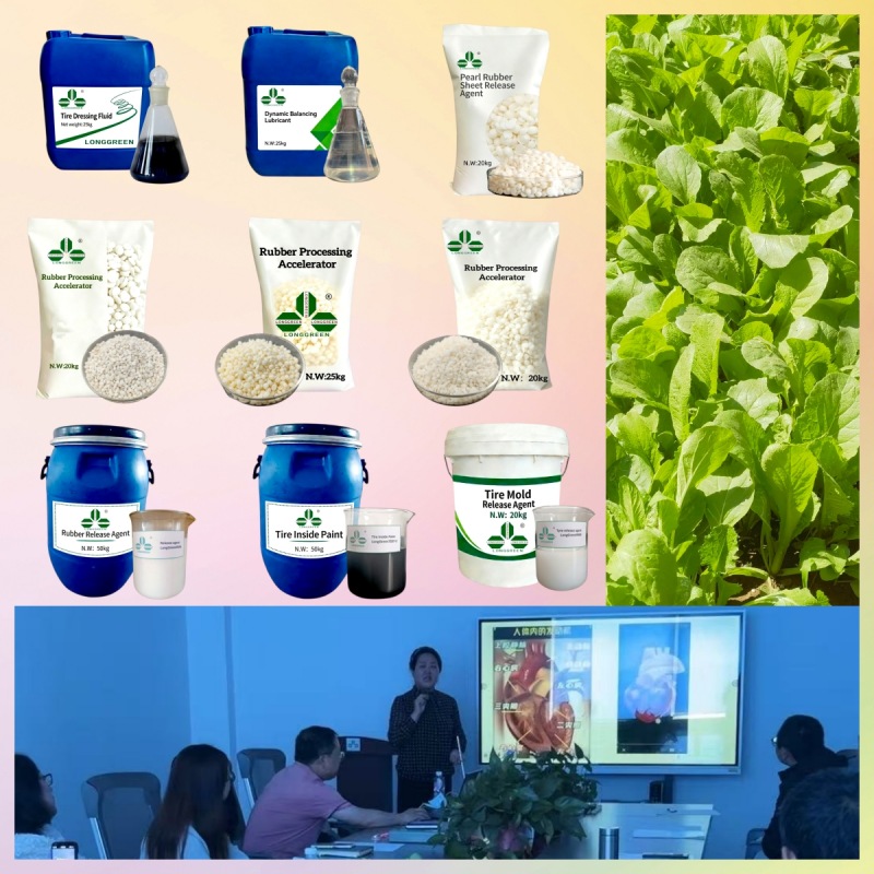 The Green Story of Shenyang Longgreen Science&Technology Co., Ltd., a company that cares about its employees and the planet