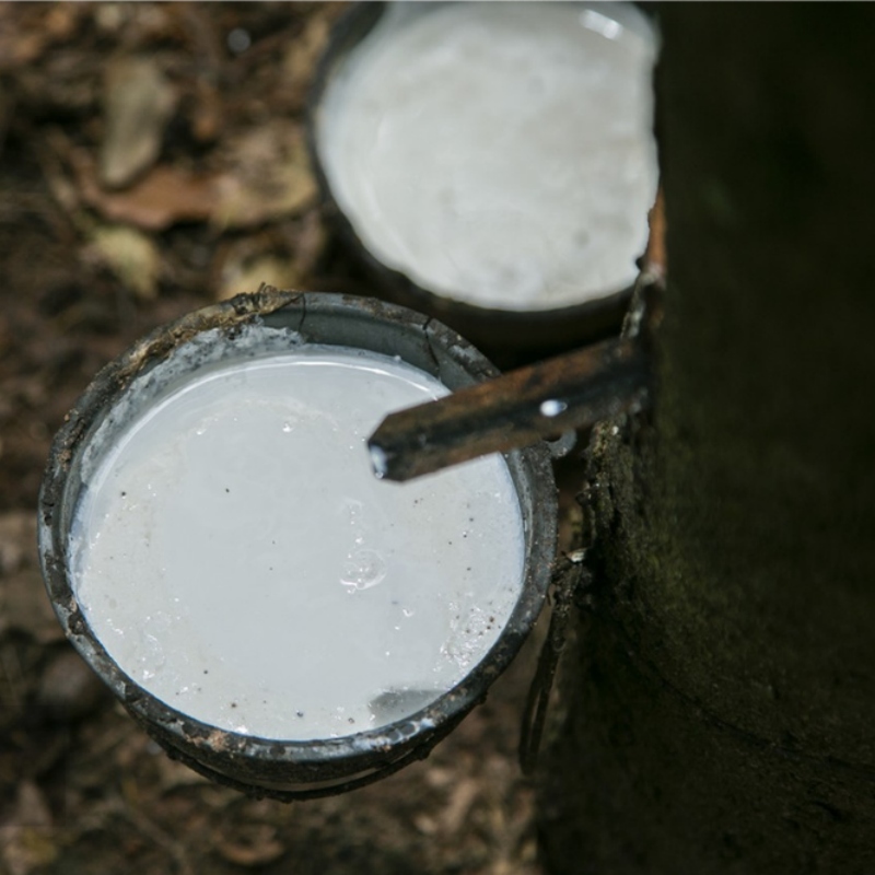 rubber additives rubber additives