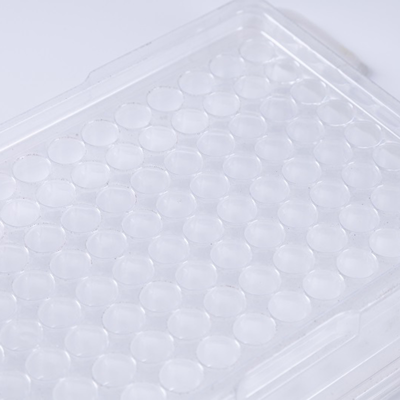 vacuum blister packaging