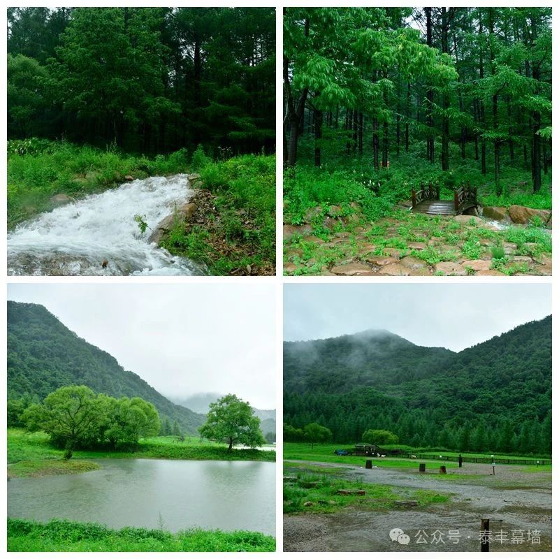 passive-aluminum-window passive-aluminum-window