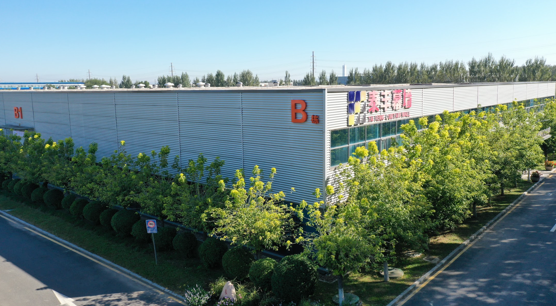 Architectural Window