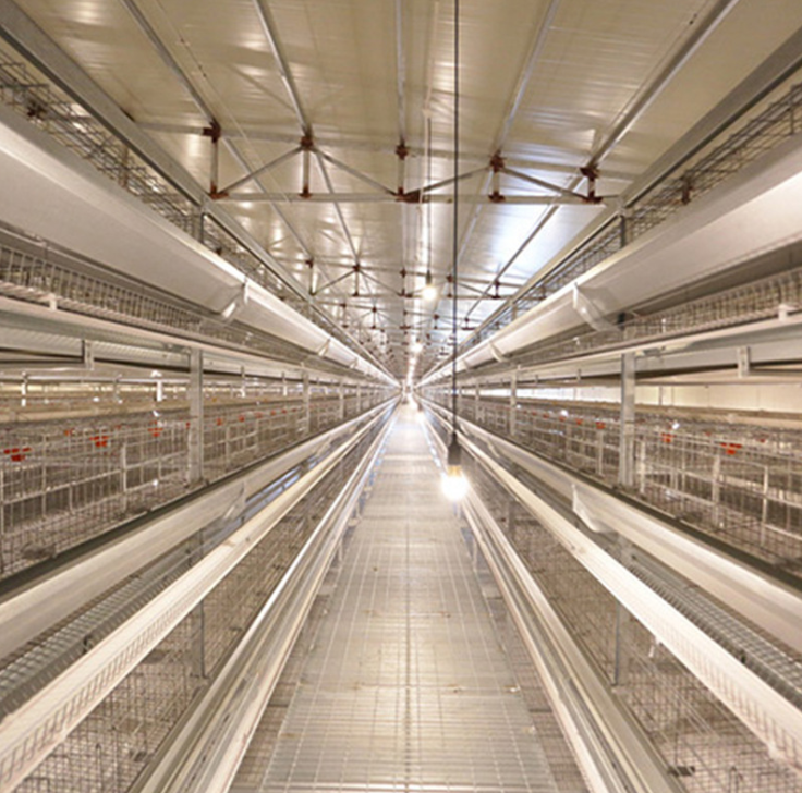 A New Paradigm for Efficient Animal Husbandry: Sheet Metal Feed Troughs Empower the Intelligent Upgrading of Large - Scale Ranches