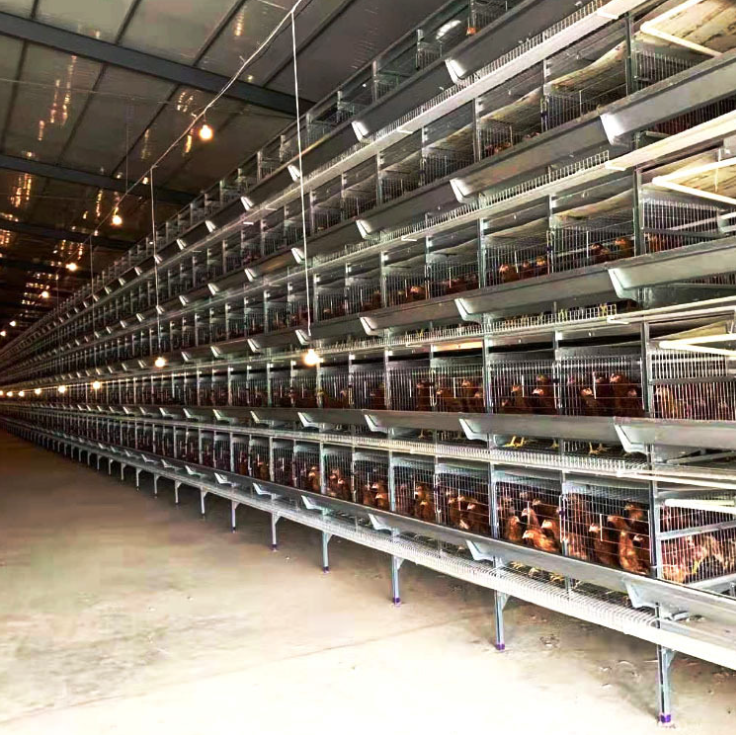 Sheet Metal Parts: Chicken Feeder Case