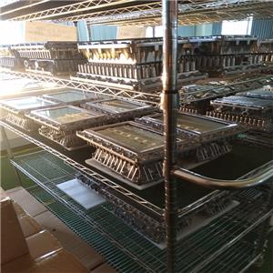 شركة شاندونغ هوادينغ تصدر عينات من مصابيح مقاومة للانفجار إلى أفريقيا، رائدة في حلول السلامة الصناعية