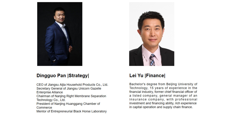 Equipo de consultores