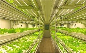 Comprar Equipos de cultivo y siembra a temperatura constante tipo cabaña prefabricada, Equipos de cultivo y siembra a temperatura constante tipo cabaña prefabricada Precios, Equipos de cultivo y siembra a temperatura constante tipo cabaña prefabricada Marcas, Equipos de cultivo y siembra a temperatura constante tipo cabaña prefabricada Fabricante, Equipos de cultivo y siembra a temperatura constante tipo cabaña prefabricada Citas, Equipos de cultivo y siembra a temperatura constante tipo cabaña prefabricada Empresa.