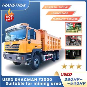 shacman truck 10 wheels dumper truk