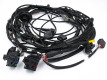 UL & CE Certified: High-Quality, Durable Waterproof Automotive Wiring Harness for Industry