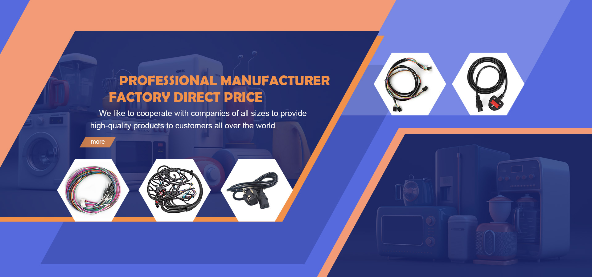 Professional Manufacturer