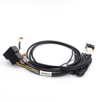 Soluzioni di cavi personalizzati per veicoli elettrici direttamente dalla fabbrica Cablaggi per autoveicoli