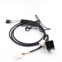 موصل السيارة الأصلي (الشركة المصنعة للمعدات الأصلية) كابل مخصص لحزمة الأسلاك الكهربائية