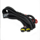 China professional automotive cable Harness assemblies manufacturer