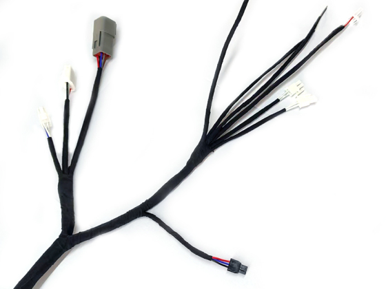 Faisceau de câblage de véhicule avec connecteur mâle-femelle personnalisé