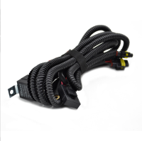 Conjuntos de arneses de cables de precisión para vehículos eléctricos