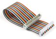 Raspberry Pi Ribbon Cable