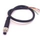 M8 Cable Assembly