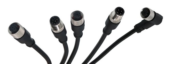 M12 Cable Assembly