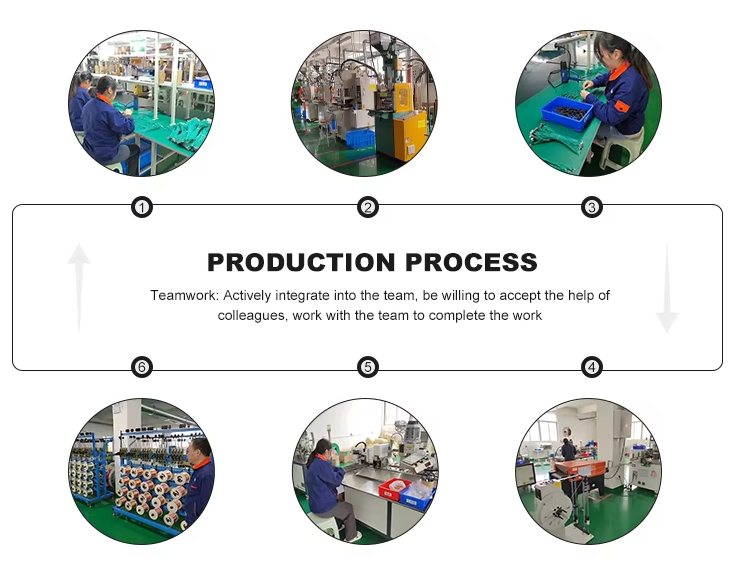 Wire Harness Wire Harness