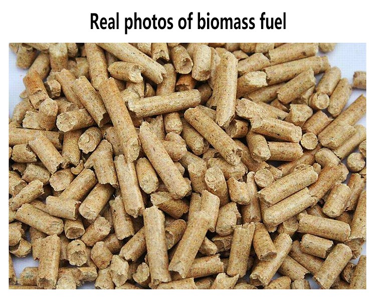 biomass steam boiler