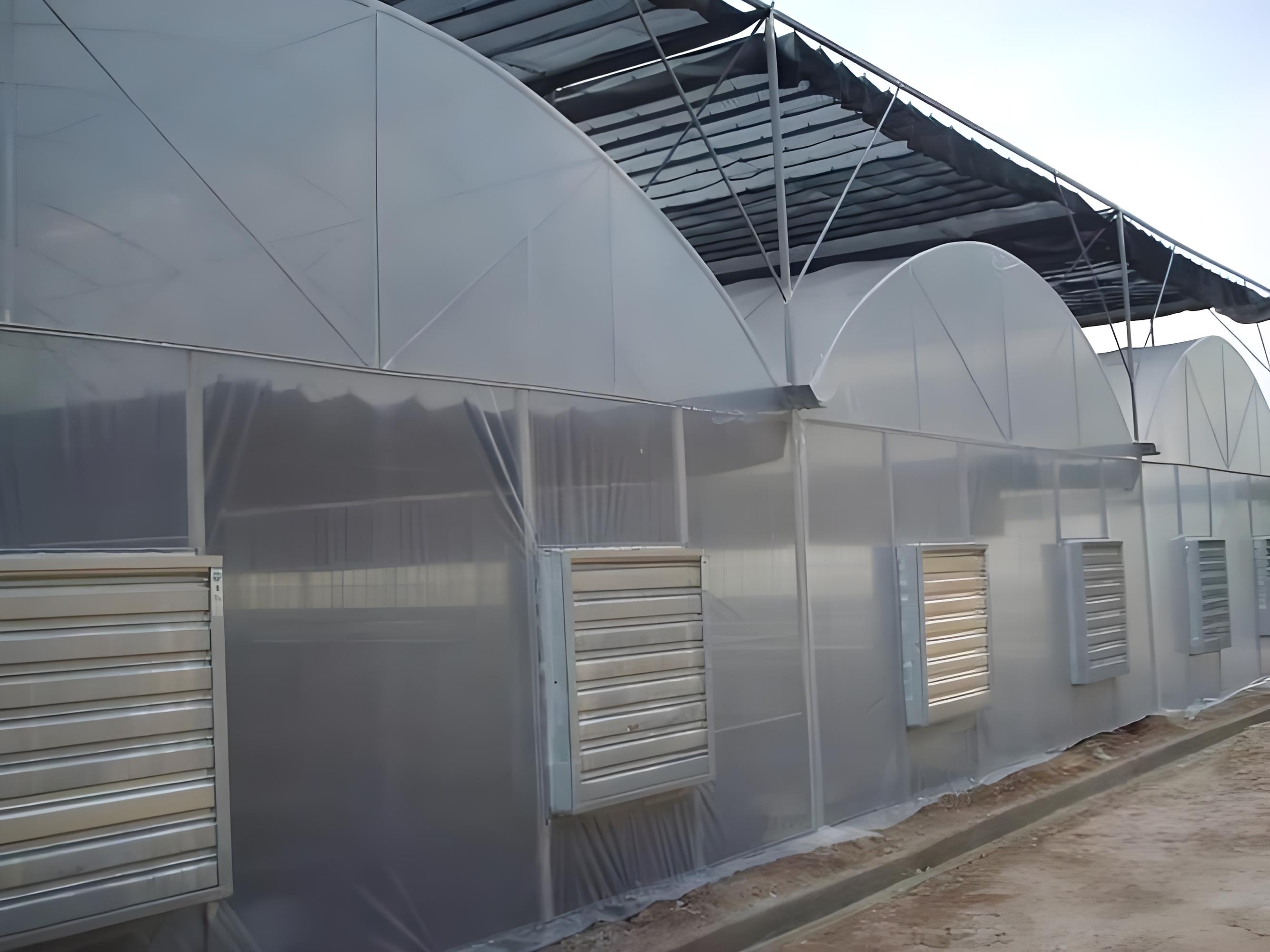 Sunshine Board And Plastic Simple Steel Pipe Greenhouse