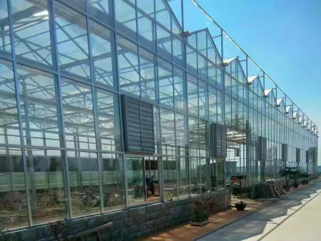 Sunshine Board And Plastic Simple Steel Pipe Greenhouse