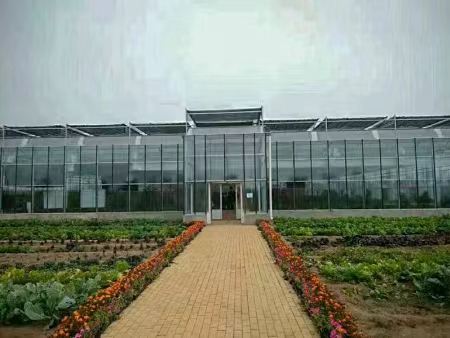 Sunshine Board And Plastic Simple Steel Pipe Greenhouse