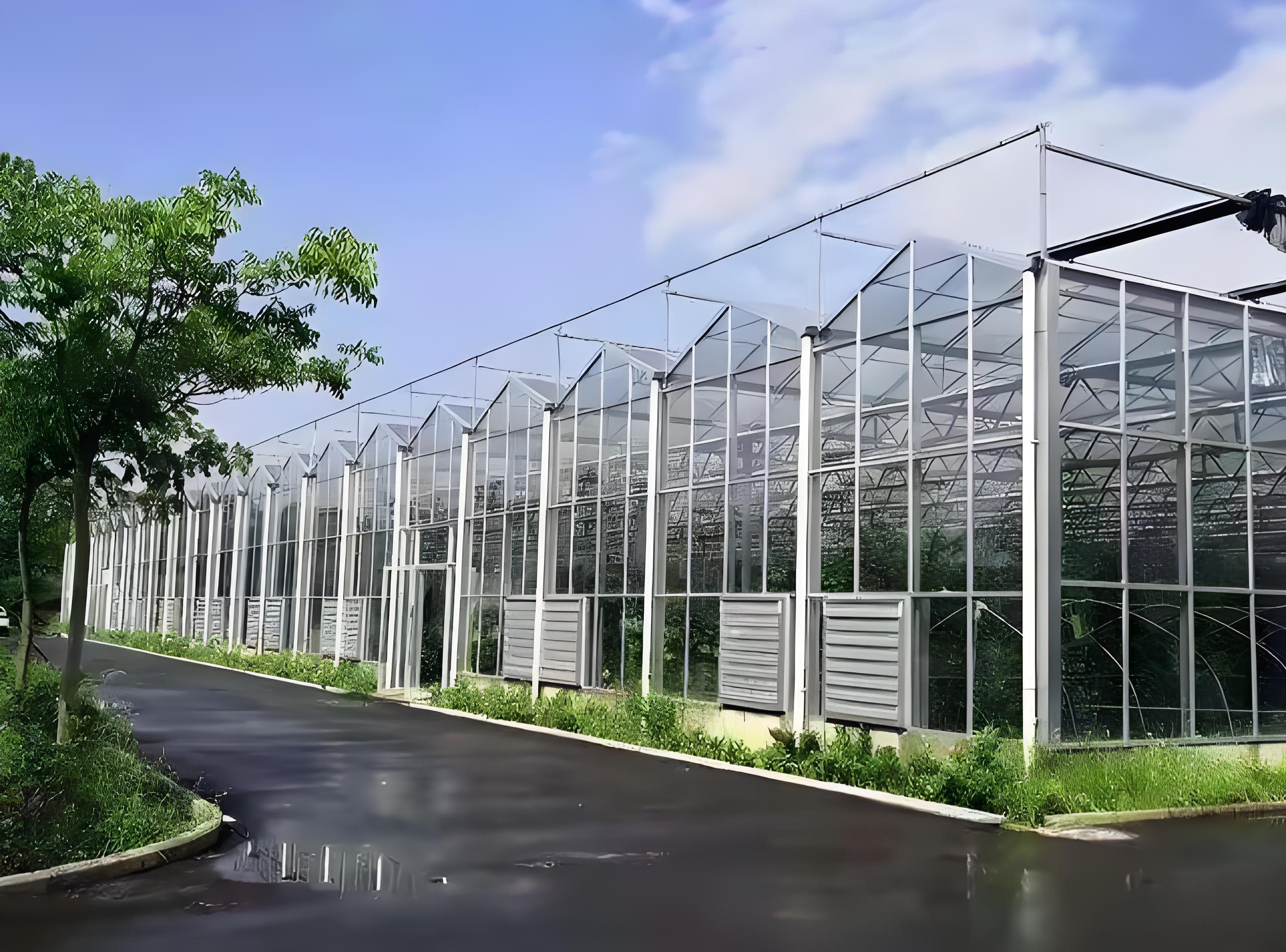 Warm And High-temperature Greenhouse In Winter