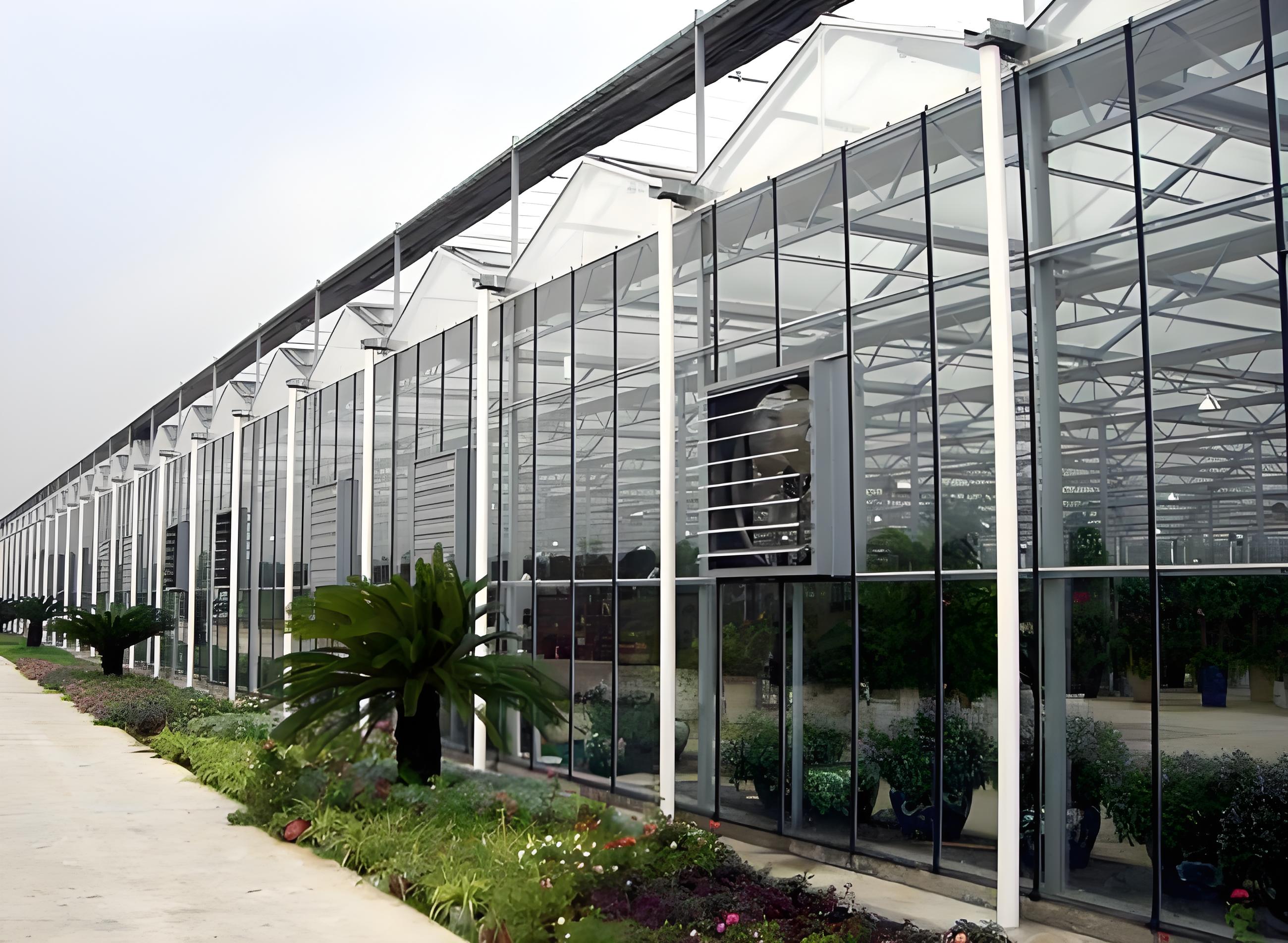 Warm And High-temperature Greenhouse In Winter