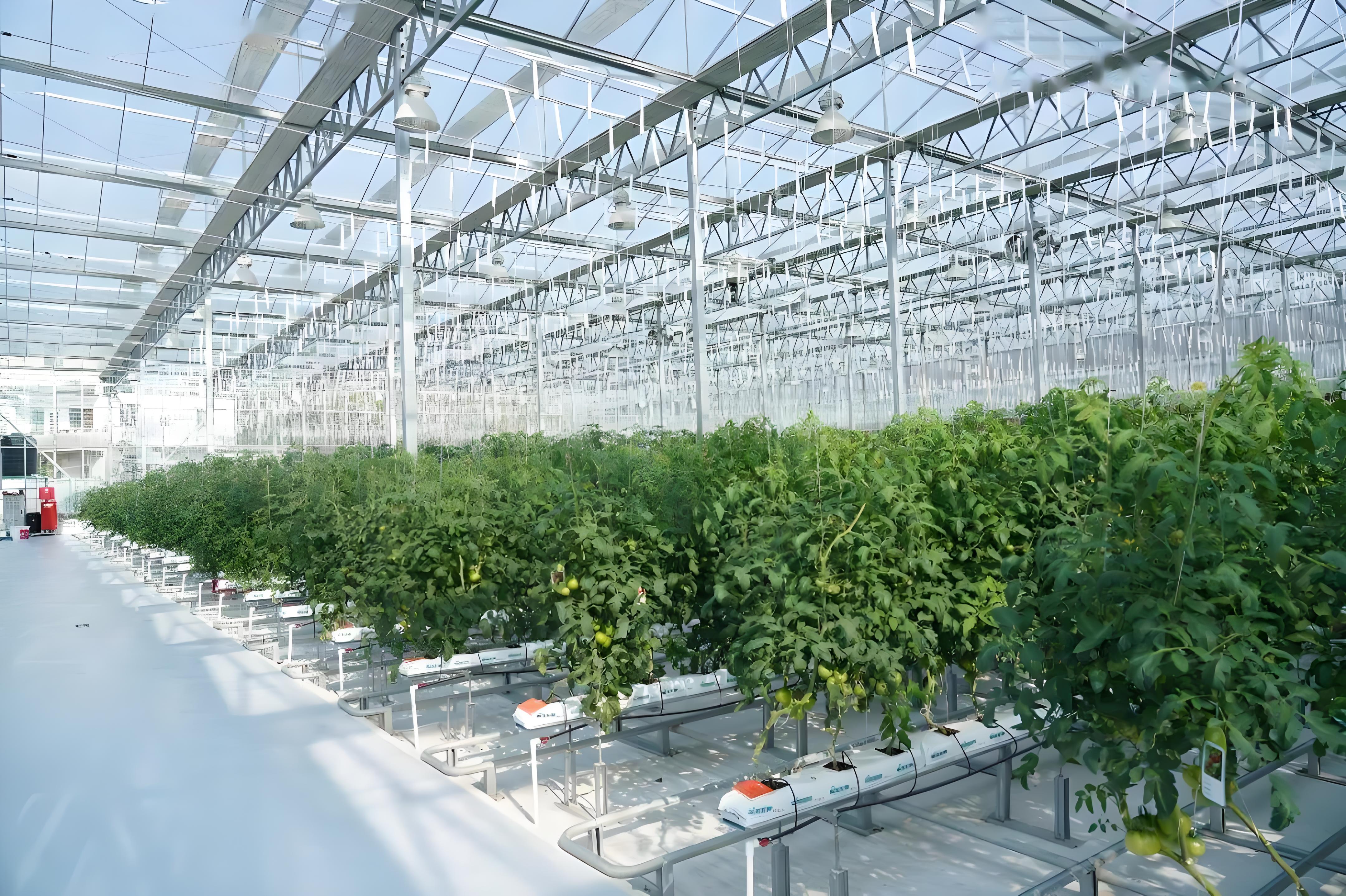 Warm And High-temperature Greenhouse In Winter