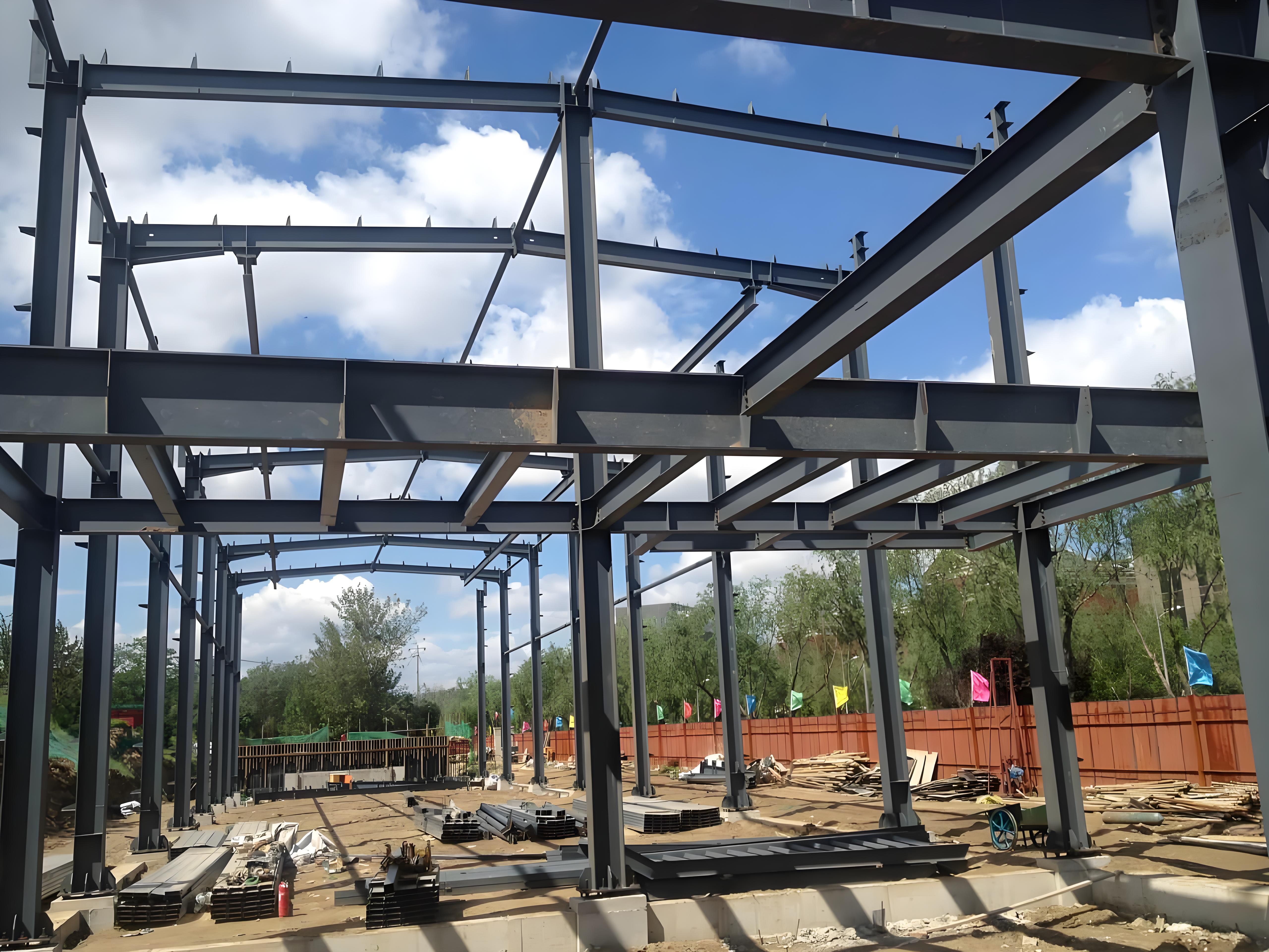 Large Steel Structure Houses And Workshop Buildings