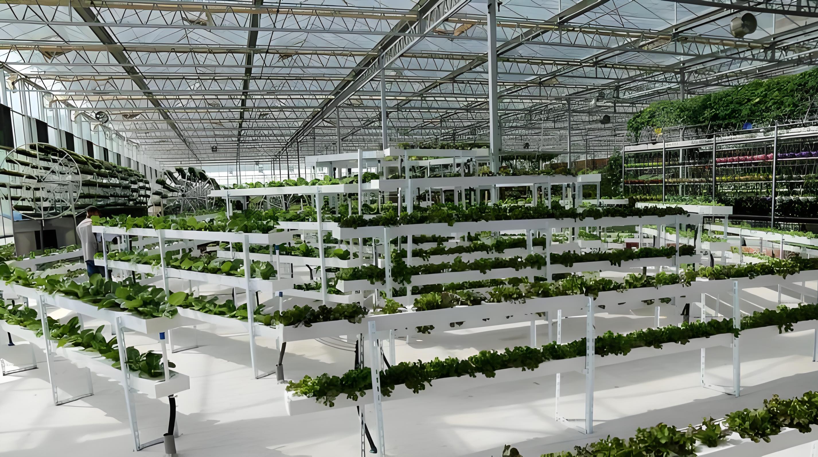 Охлаждающая и нагревающая теплица со стальной конструкцией Венло