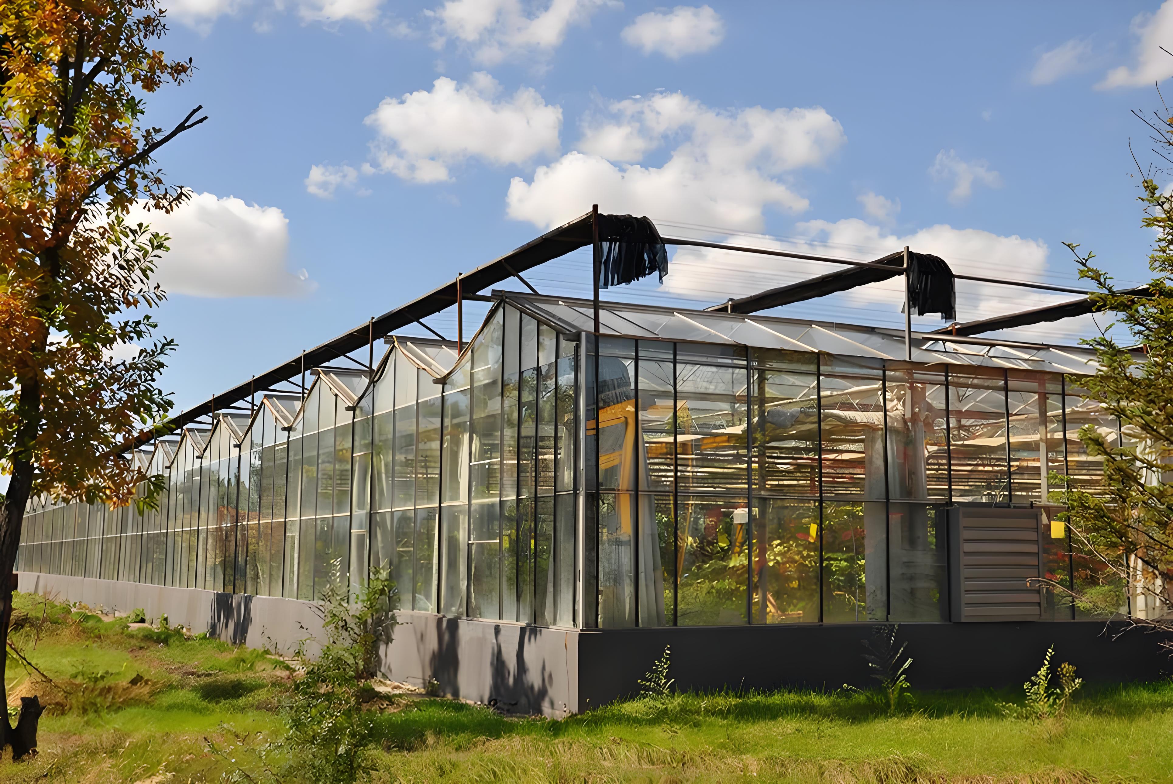 Glass greenhouse