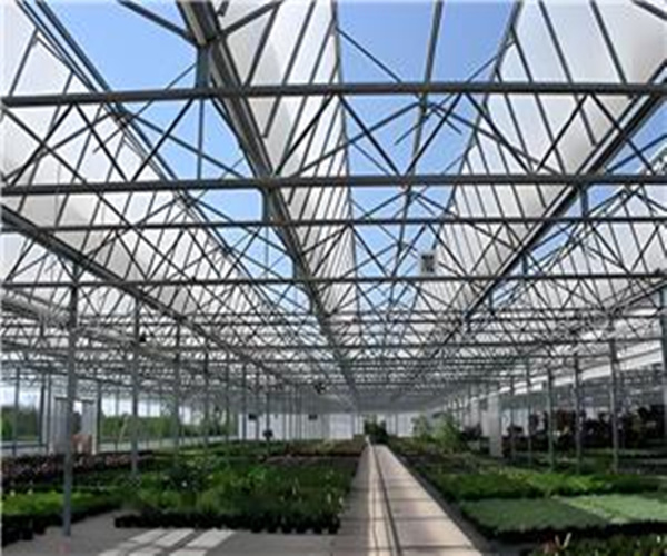 Planting And Breeding Steel Structure Greenhouse