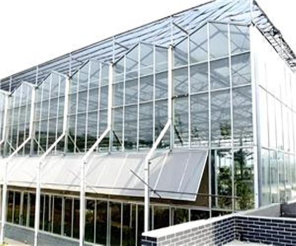 Warm And High-temperature Greenhouse In Winter