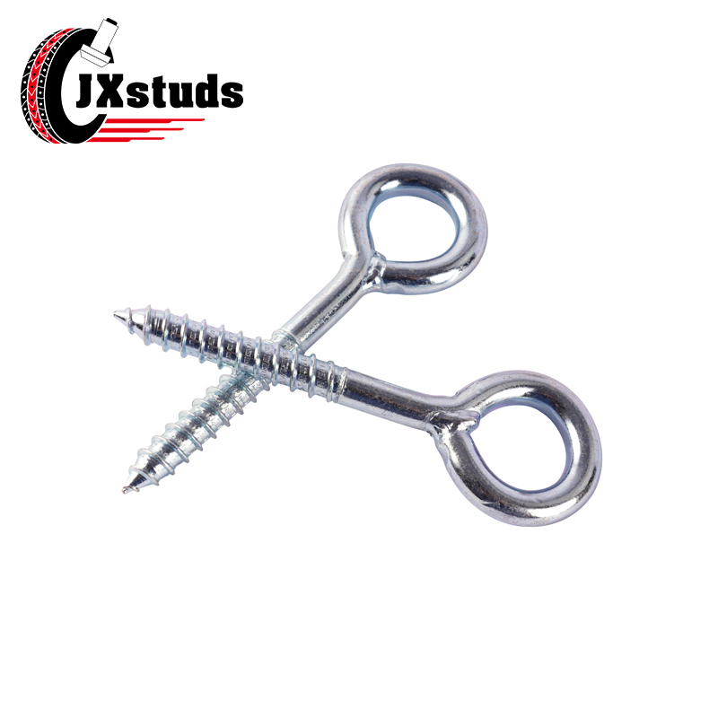 Eye lag screw