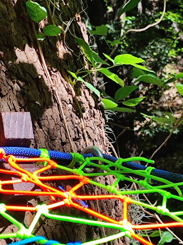 Eye Lag Screw | Non-Standard Wood Screw – Custom Thread Profiles for Diverse Applications