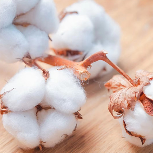 good cotton pads
