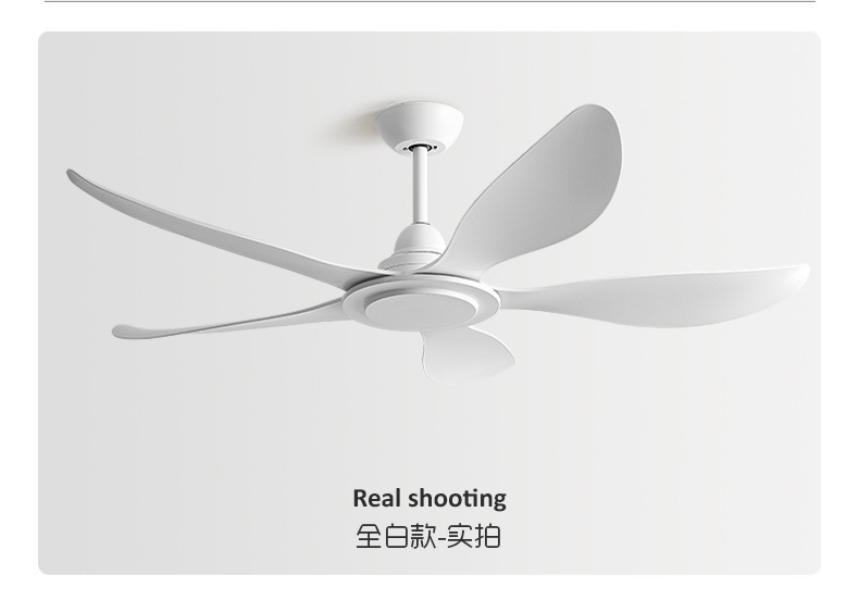 Ceiling Mounted Fan Ventilation Exhaust Fan