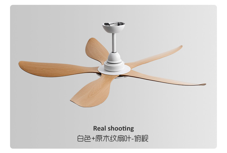 Ceiling Mounted Fan Ventilation Exhaust Fan