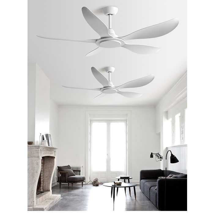 ceiling fan exhaust fan