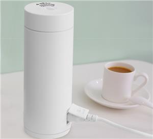 Portable Electric Kettle Thermos Cup For Tea