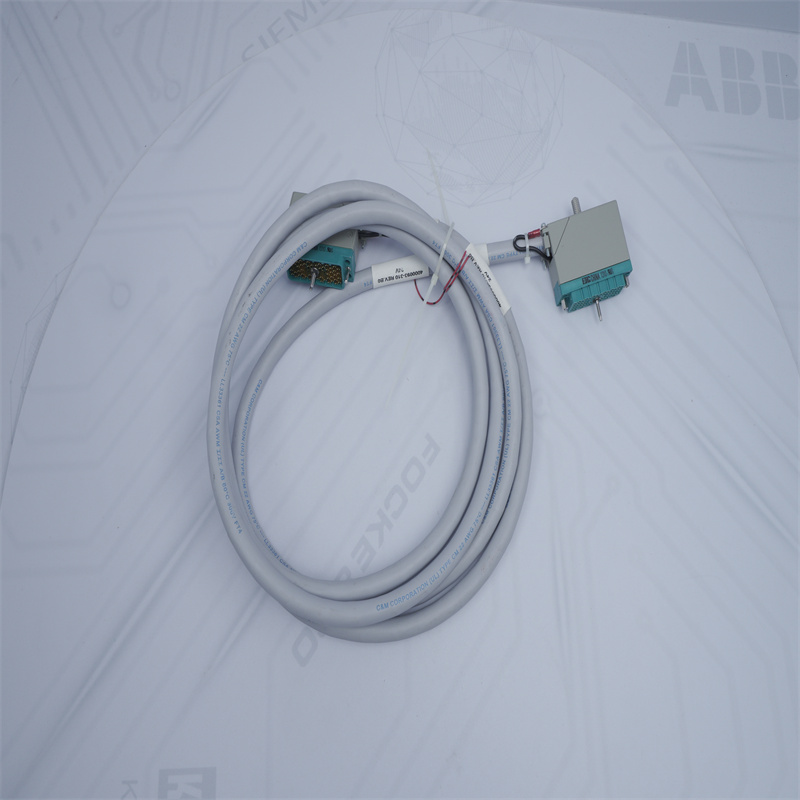 4000093-310 Triconex Giriş Kablosu Düzeneği