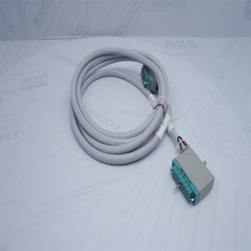 4000093-310 Triconex Giriş Kablosu Düzeneği