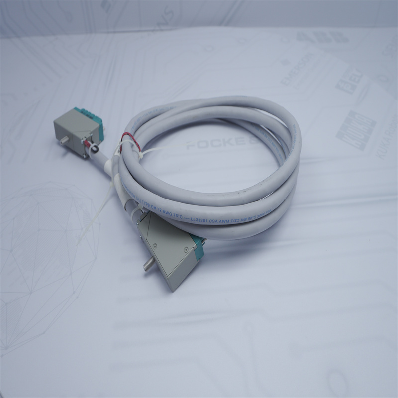 4000093-310 Triconex Giriş Kablosu Düzeneği