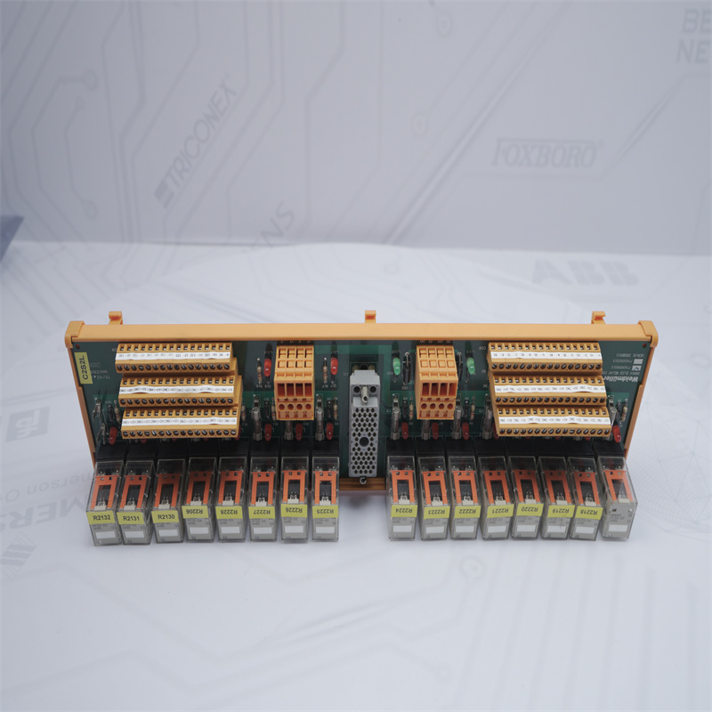 9674-810 Triconex sonlandırma paneli