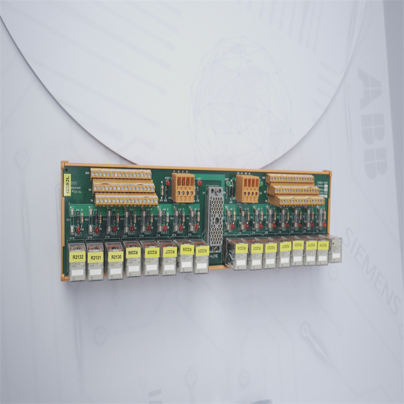 9674-810 Triconex sonlandırma paneli