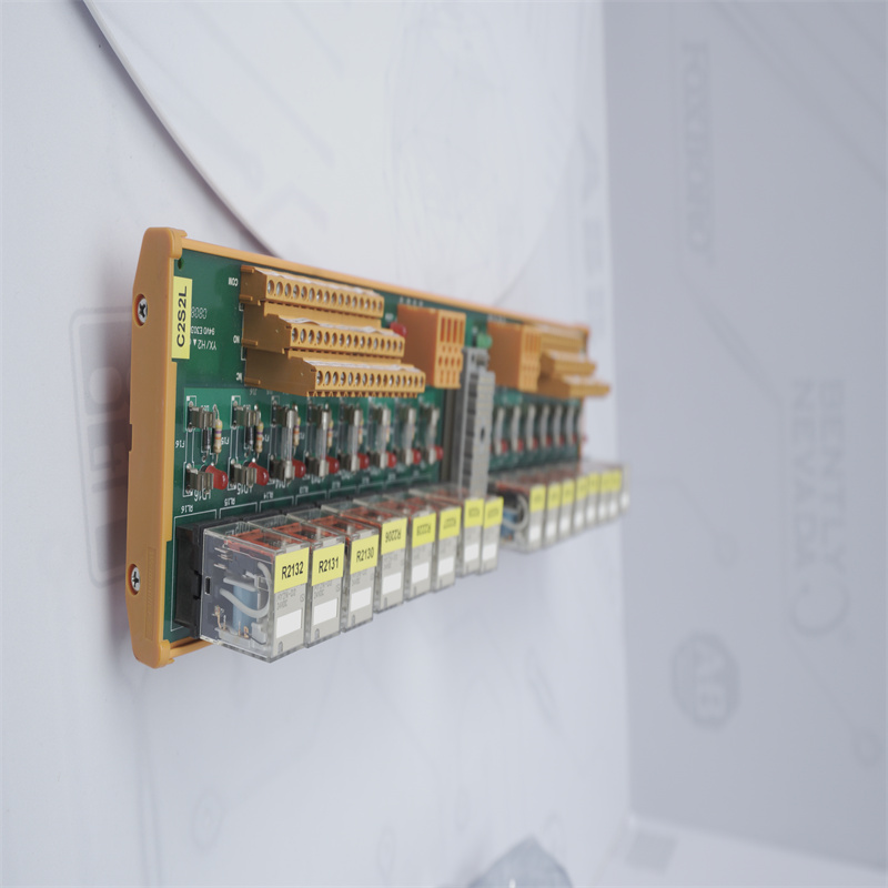 9674-810 Triconex sonlandırma paneli