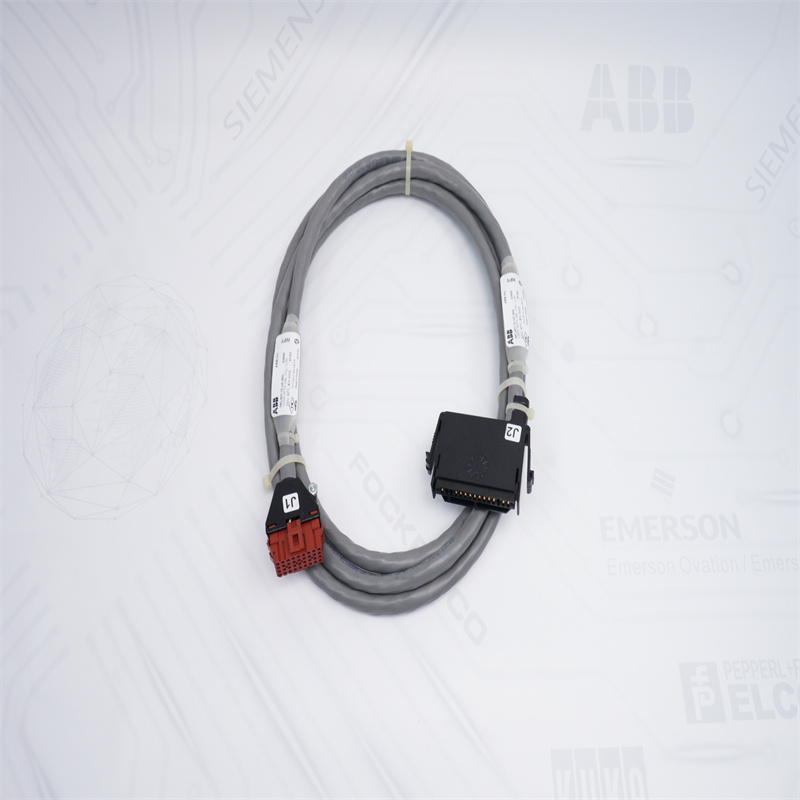 ABB NKLS01-10 Bailey Sonlandırma Ünitesi Kablosu