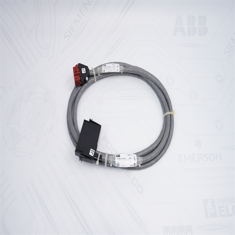 ABB NKLS01-10 Bailey Sonlandırma Ünitesi Kablosu