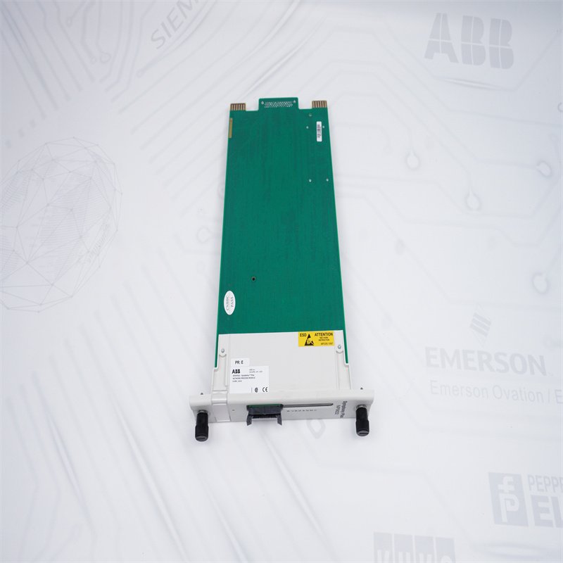 ABB SPNPM22 Ağ Süreç Modülü